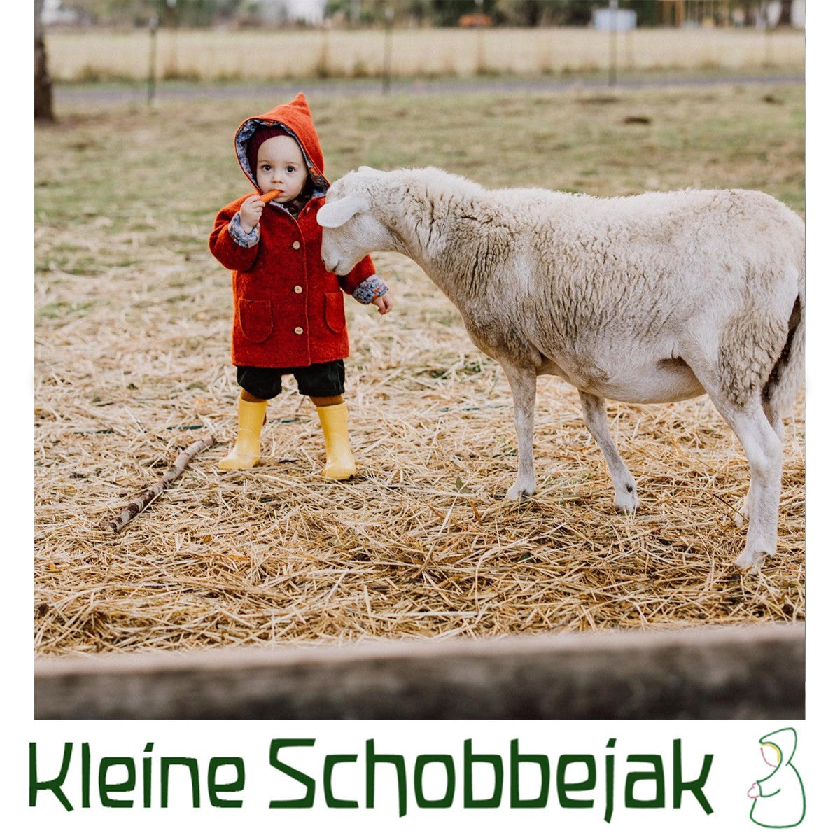◎Kleine schobbejak◎ wool jacket